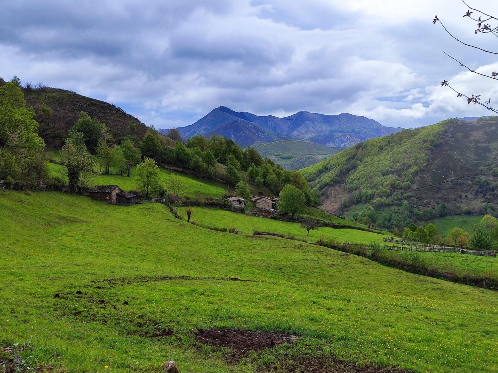 El Corral De Baxo Βίλα Felechosa Εξωτερικό φωτογραφία